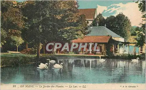 Ansichtskarte AK le Mans le Jardin des Plantes le Lac