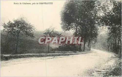 Cartes postales Ravin de Genivaux pres de Gravelotte