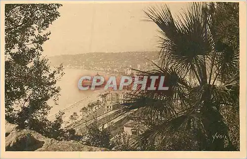 Ansichtskarte AK Cote d'Azur Nice (Alpes Maritimes) Vue Panoramique Prise de la Cascade du Chateau