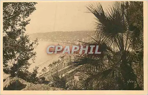 Cartes postales Cote d'Azur Nice (Alpes Maritimes) Vue Panoramique Prise de la Cascade du Chateau