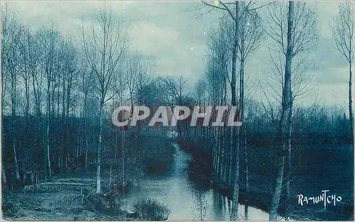 Cartes postales la Sevre Niortaise a Saint Maixent