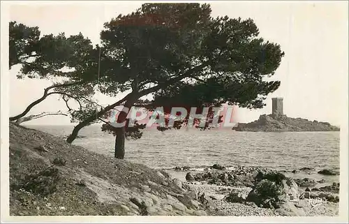 Moderne Karte l'Ile d'or depuis Cote d'Azur