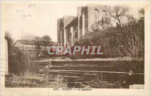 Cartes postales Niort le Donjon