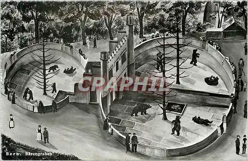 Cartes postales moderne Berne la Fosse aux Ours