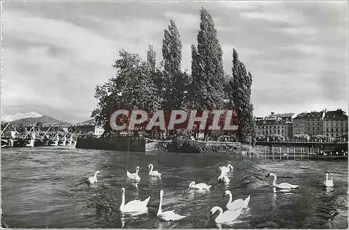 Moderne Karte Geneve Ile JJ Rousseau et les Cygnes