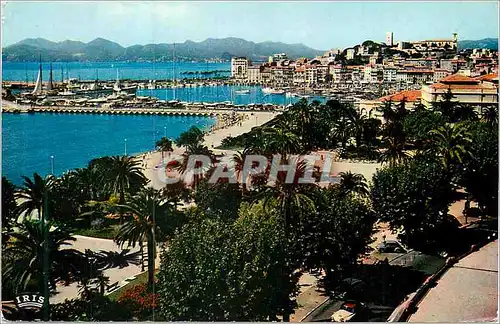 Cartes postales moderne la Cote d'Azur French Riviera Cannes le Jardin et le Suquet