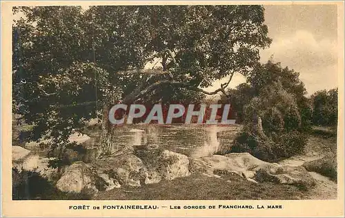 Ansichtskarte AK Foret de Fontainebleau les Gorges de Franchard la Mare
