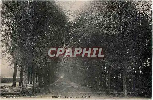 Cartes postales Joigny la promenade du Mail