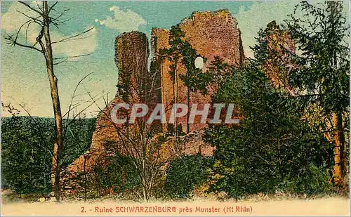 Cartes postales Ruine Schwarzenburg pres Munster(Ht Rhin)