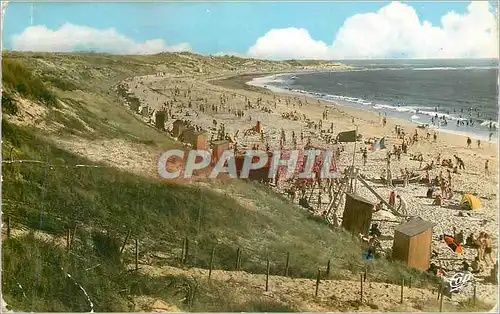 Cartes postales moderne Domino Ile d'oleron la Grande Plage