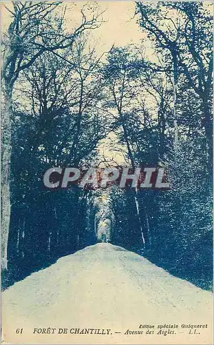 Cartes postales Foret de Chantilly Avenue des Aigles LL