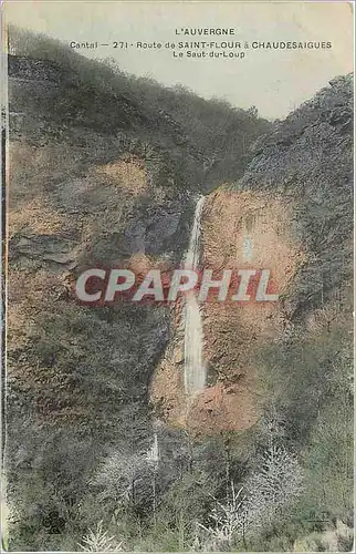 Ansichtskarte AK L'Auvergne Cantal 271 Route de Saint Flour a chaudesaigues le Saut du Loup