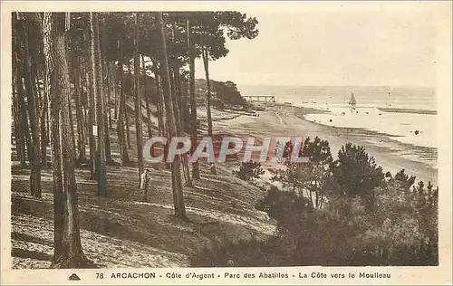 Cartes postales Arcachon Cote d'Argent Parc des Abatilles La Cote vers Moulleau