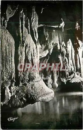 Cartes postales moderne Grottes de Betharram Champignons Renveres