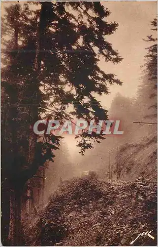 Cartes postales Toute la France Luchon Superbagneres et Environs (Hte Garonne) La Montee du chemin