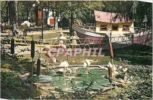 Cartes postales moderne Le zoo des Enfants Le Parc Lafontaine