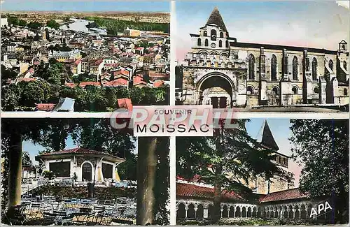 Cartes postales moderne Souvenir de Moissac (Tarn et Gne) Eglise Abbatiale St Pierre (XIIIe S) L'Uvarium