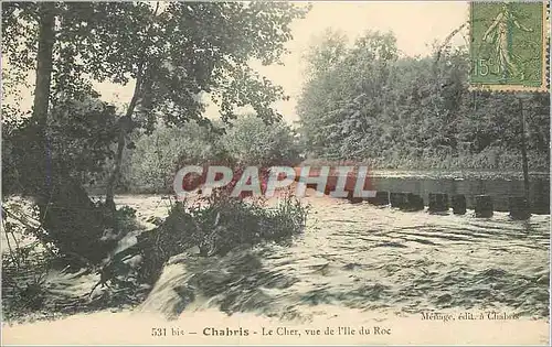 Cartes postales Charbris Le Cher Vue de l'Ile du Roc