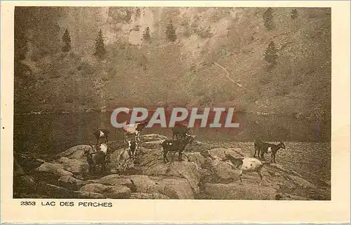 Cartes postales Lac des Perches Chevres