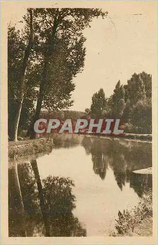 Ansichtskarte AK Auxerre l'Arbre Sec et le Canal