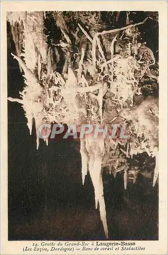 Ansichtskarte AK Grotte du Grand Roc a Laugerie Basse(les Eyzies Dordogne) Banc de Corail et Stalactites