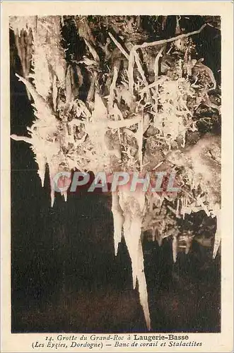 Cartes postales Grotte du Grand Roc a Laugerie Basse(les Eyzies Dordogne) Banc de Corail et Stalactites