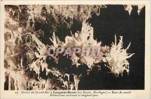 Cartes postales Grotte du Grand Roc a Laugerie Basse(les Eyzies Dordogne) Banc de Corail