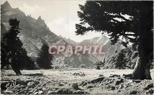 Cartes postales moderne l'Auvergne Vallee et Gorges d'Enfer (alt 1325m) au Pied du Sancy