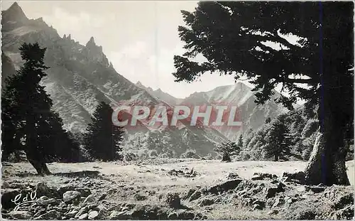 Moderne Karte l'Auvergne Vallee et Gorges d'Enfer (alt 1325m) au Pied du Sancy