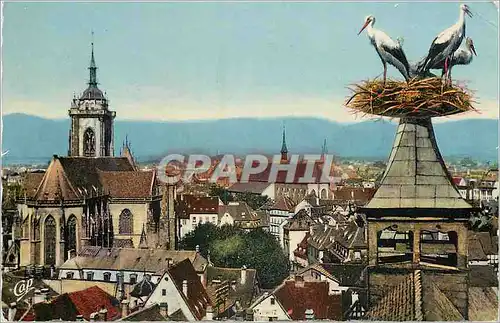 Cartes postales moderne Colmar Vue Generale