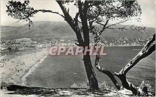 Cartes postales moderne Cote d'Azur le Lavandou la Fayere la Plage
