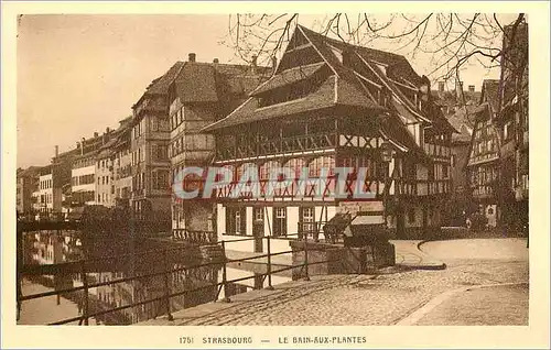 Cartes postales Strasbourg le bain Aux Plantes