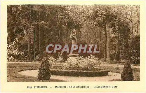 Cartes postales Strasbourg Orangerie la Gaenseliesel l'Alsacienne a l'Oie
