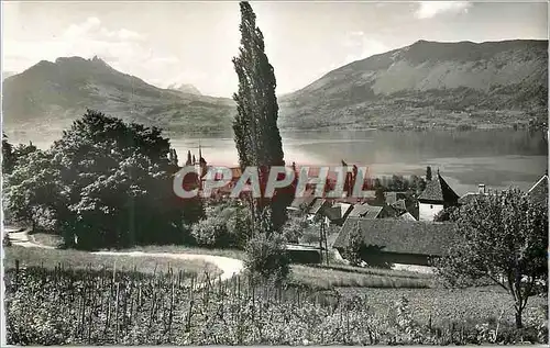Cartes postales moderne Lac d'Annecy Veyrier du Lac