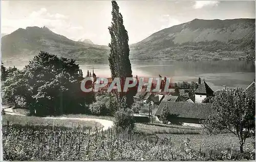 Moderne Karte Lac d'Annecy Veyrier du Lac