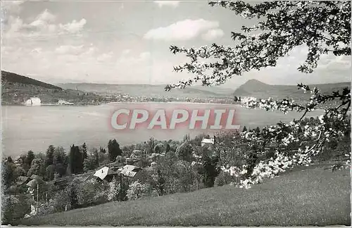 Cartes postales moderne Lac d'Annecy Veyrier Vue Generale