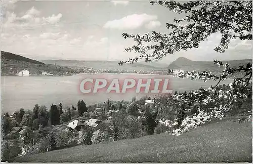 Moderne Karte Lac d'Annecy Veyrier Vue Generale