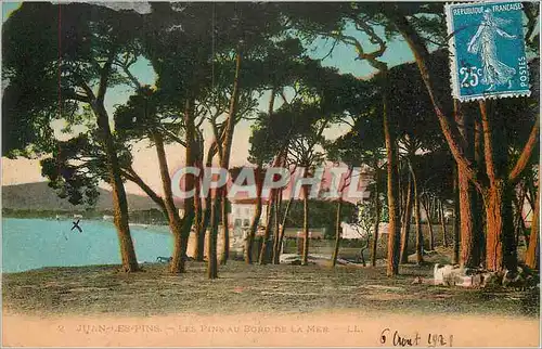 Cartes postales Juan Les Pins au Bord de la Mer