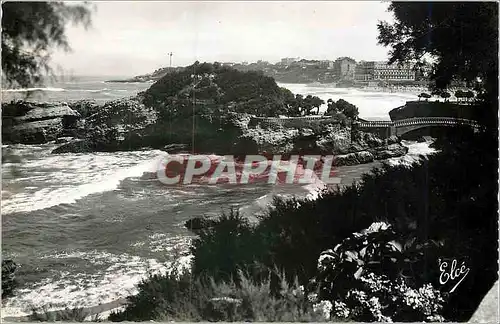 Moderne Karte Biarritz Basses Pyrenees) Au Travers des Tamaris Vue Sur le Basta et la Grande Plage