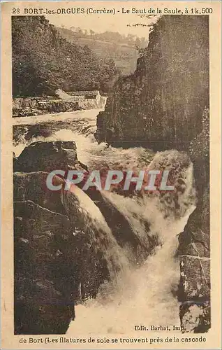 Ansichtskarte AK Bort les Orgues (Correze) Le Saut de la Saule a 1 k 500