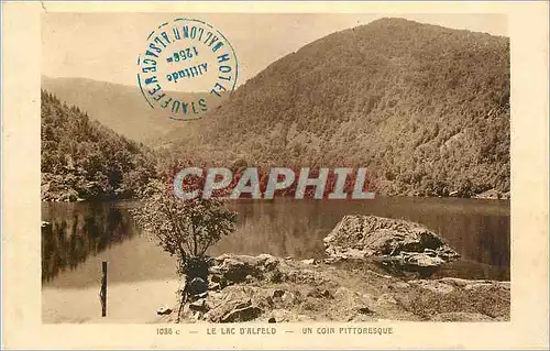 Cartes postales Le Lac d'Alfeld Un Coin Pittoresque
