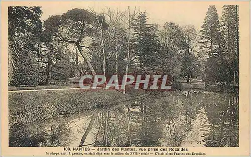 Ansichtskarte AK Nantes Jardin des Plantes Vue Prise des Rocailles