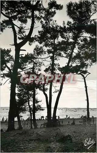 Cartes postales moderne Bassin d'Arcachon (Gironde) Crepuscule sur le Bassin