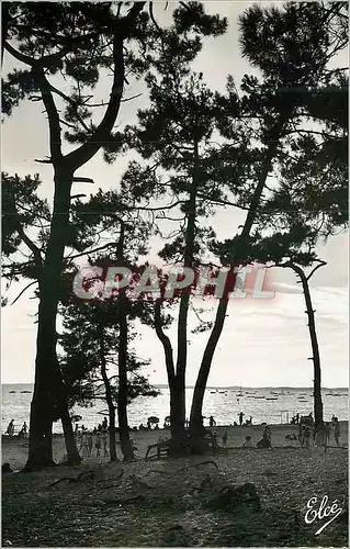 Moderne Karte Bassin d'Arcachon (Gironde) Crepuscule sur le Bassin