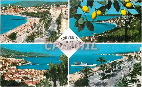 Moderne Karte Souvenir de la Cote d'Azur Cannes Principaute de Monaco Nice