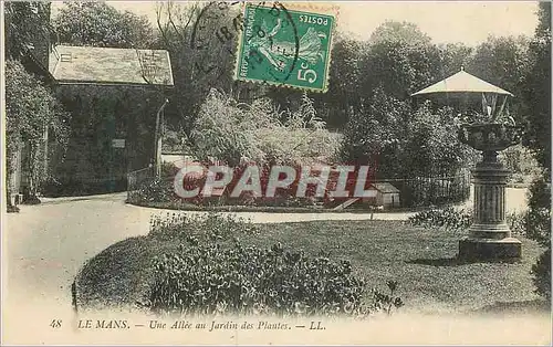 Ansichtskarte AK Le Mans Une Allee au Jardin des Plantes