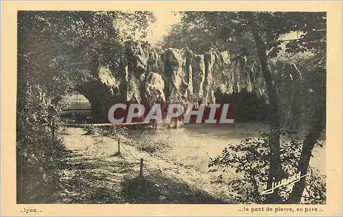 Cartes postales Lyon Le Pont de Pierre au Parc