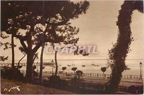 Cartes postales Toute La France Arcachon (Gironde) Un Coin du Boulevard Promenade