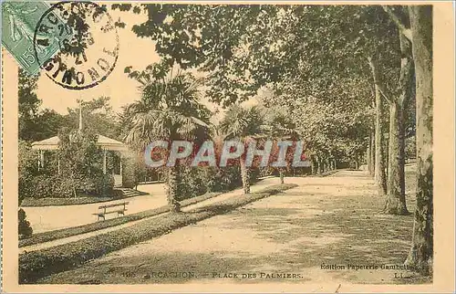 Cartes postales Arcachon Place des Palmiers