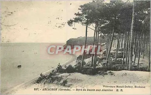 Ansichtskarte AK Arcachon (Gironde) Bord du Bassin aux Abatilles